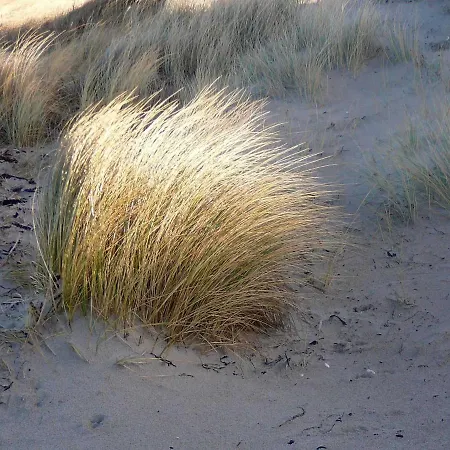 Garni Ostseegruss Obje * Rostock