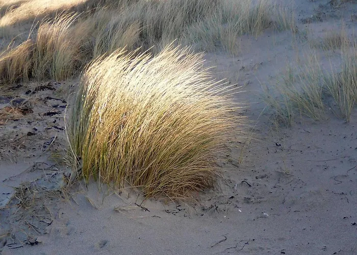 Garni Ostseegruss Obje * Rostock